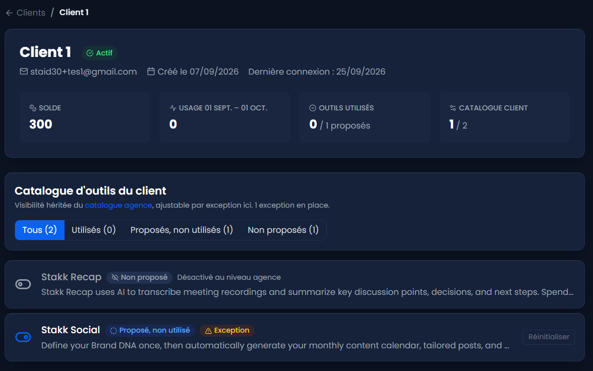 Agency console: one client workspace with balance, usage, tools used and its tool catalog